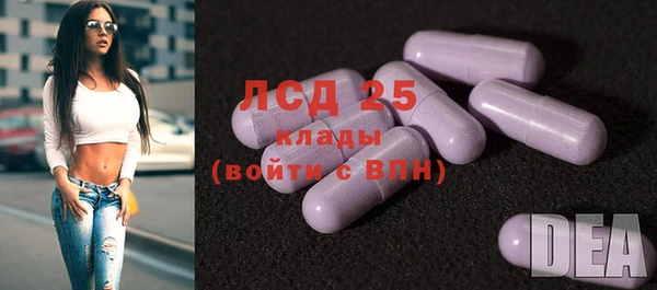 прущие грибы Балахна