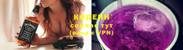 прущие грибы Балахна