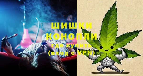прущие грибы Балахна