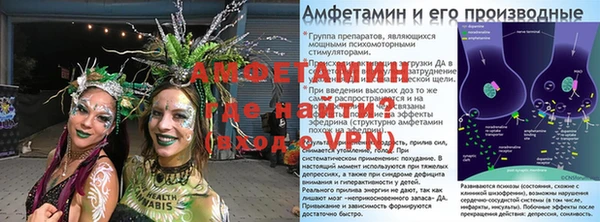 прущие грибы Балахна