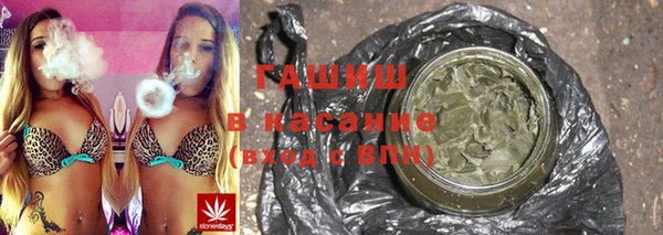 прущие грибы Балахна