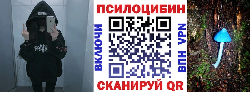 Псилоцибиновые грибы прущие грибы Георгиевск